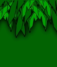 wall  ideas for rainforest themed bedroom - jungle wall murals - girls jungle bedrooms - boys safari animals themed rooms