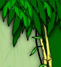 tropical jungle rainforest theme bedrooms