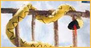 Plush animals
variety of  themes and sizes
snakes  and other 
Lizards - Alligator - Frogs - Snakes - Monkeys - Gorillas - Jungle Cats